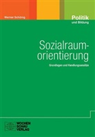 Werner Schönig - Sozialraumorientierung
