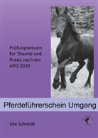 Ute Schmidt - Pferdeführerschein Umgang