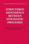 Tomasz R Bielecki, Tomasz R. Bielecki, Tomasz R. (Illinois Institute of Technol Bielecki, Tomasz R. (Illinois Institute of Technology) Bielecki, Tomasz R. Jakubowski Bielecki, Jacek Jakubowski... - Structured Dependence Between Stochastic Processes
