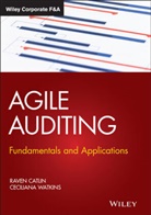R Catlin, Rave Catlin, Raven Catlin, Raven (Institute of Internal Auditors) Wat Catlin, Raven Goldberg Catlin, Raven Watkins Catlin... - Agile Auditing