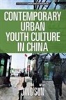 Jing Sun - Contemporary Urban Youth Culture in China