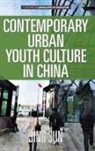 Jing Sun - Contemporary Urban Youth Culture in China