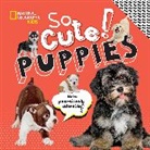Crispin Boyer - So Cute! Puppies