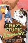 Lyssa Kay Adams - Crazy Stupid Bromance