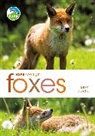Mike Unwin, Unwin Mike - Rspb Spotlight: Foxes