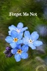 Zera Marsh - Forget Me Not Internet Password Logbook: Large Print Organizer with Alphabetical Tabs for Easy Password Keeping