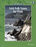 Patrick Steinbach - Irish Folk Tunes for Flute