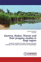 B R Kerur, Avinash Pandurang - Gamma, Radon, Thoron and their progeny studies in Gogi region
