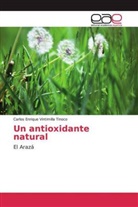 Carlos Enrique Vintimilla Tinoco - Un antioxidante natural