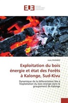 Juste MUDARHI - Exploitation du bois énergie et état des Forêts à Kalonge, Sud-Kivu