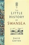 David Gwynn - The Little History of Swansea