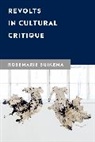 Rosemarie Buikema, Buikema Rosemarie - Revolts in Cultural Critique
