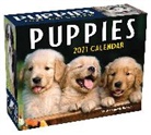 Andrews McMeel Publishing, Not Available - Puppies 2021 Calendar