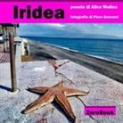 Alice Molino - Iridea