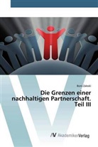 Boris Zaleski - Die Grenzen einer nachhaltigen Partnerschaft. Teil III