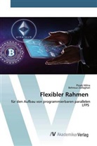 Pinak Mitra, Pinaki Mitra, Behrouz Zolfaghari - Flexibler Rahmen