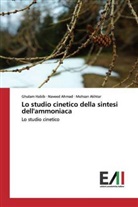 Naveed Ahmad, Mohsan Akhtar, Ghulam Habib - Lo studio cinetico della sintesi dell'ammoniaca