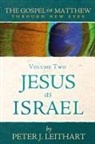 Peter J Leithart, Peter J. Leithart - The Gospel of Matthew Through New Eyes Volume Two