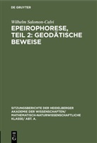 Wilhelm Salomon-Calvi - Epeirophorese, Teil 2: Geodätische Beweise