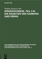 Wilhelm Salomon-Calvi - Epeirophorese, Teil 3 B: Die Eiszeiten des Karbons und Perms