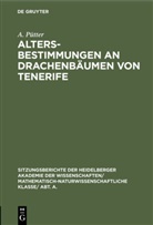 A. Pütter, August Pütter - Altersbestimmungen an Drachenbäumen von Tenerife