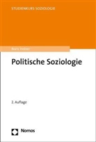 Boris Holzer - Politische Soziologie