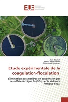 Kamila Baba-Hamed, Abderrazak Bouanani, Ilyas Boursali - Etude expérimentale de la coagulation-floculation
