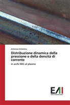 Antonios Antoniou - Distribuzione dinamica della pressione e della densità di corrente