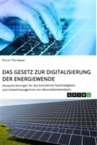 Philipp Trautmann - Das Gesetz zur Digitalisierung der Energiewende. Herausforderungen für das betriebliche Nachhaltigkeits- und Umweltmanagement von Messstellenbetreibern