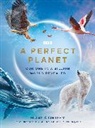 Huw Cordey - A Perfect Planet