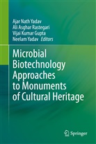 Al Asghar Rastegari, Ali Asghar Rastegari, Vijai Kumar Gupta, Vijai Kumar Gupta et al, Ali Asghar Rastegari, Ajar Nath Yadav... - Microbial Biotechnology Approaches to Monuments of Cultural Heritage
