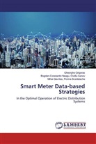 Mihai Gavrilas Florina Scarlatache, Gheorghe Grigoras, Bogdan-Constantin Neagu Ovidiu Ivanov - Smart Meter Data-based Strategies