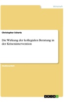 Christopher Schertz - Die Wirkung der kollegialen Beratung in der Krisenintervention