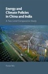 Fuzuo Wu, Fuzuo (Aalborg University Wu - Energy and Climate Policies in China and India