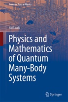 Tasaki, Hal Tasaki - Physics and Mathematics of Quantum Many-Body Systems