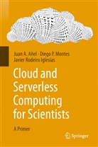 Juan Añel, Juan A Añel, Juan A. Añel, Javier Iglesias, Javier Rodeiro Iglesias, Diego Montes... - Cloud and Serverless Computing for Scientists