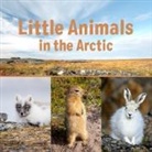 Arvaaq Press, Inhabit Education, Inhabit Education, Inhabit Education Books - Little Animals in the Arctic