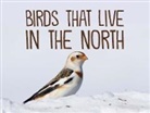Arvaaq Press, Inhabit Education, Inhabit Education, Inhabit Education Books - Birds That Live in the North