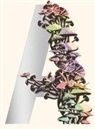 Jeff VanderMeer - Ambergris