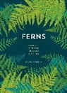 Mobee Weinstein - Ferns