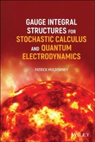 P Muldowney, Patrick Muldowney, Patrick (University of Ulster) Muldowney, Muldowney Patrick - Gauge Integral Structures for Stochastic Calculus and Quantum