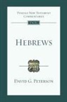 David G Peterson, David G. Peterson, Peterson David - Hebrews