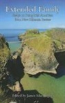 James Silas Rogers - Extended Family: Essays on Being Irish American from New Hibernia Review