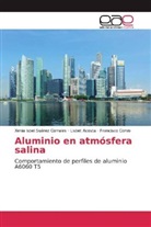 Lisbet Acosta, Francisco Corvo, Xenia Isbel Suárez Corrales - Aluminio en atmósfera salina