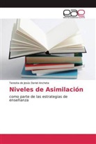 Teresita de Jesús Daniel Ancheta - Niveles de Asimilación