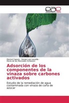 Maricel Caputo, Sergio Luis Laurella, María de las Mercedes Schiavoni - Adsorción de los componentes de la vinaza sobre carbones activados