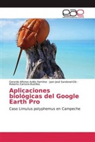 Gerardo Alfonso Avilés Ramírez, Juan José Sandoval-Gío, Roberto Zamora-Bustillos - Aplicaciones biológicas del Google Earth Pro