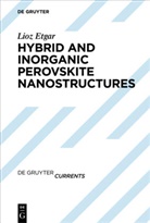 Lioz Etgar - Hybrid and Inorganic Perovskite Nanostructures