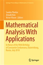 Arkadi Kim, Arkadii Kim, Sandra Pinelas, Victor Vlasov - Mathematical Analysis With Applications