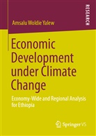 Amsalu Woldie Yalew - Economic Development under Climate Change